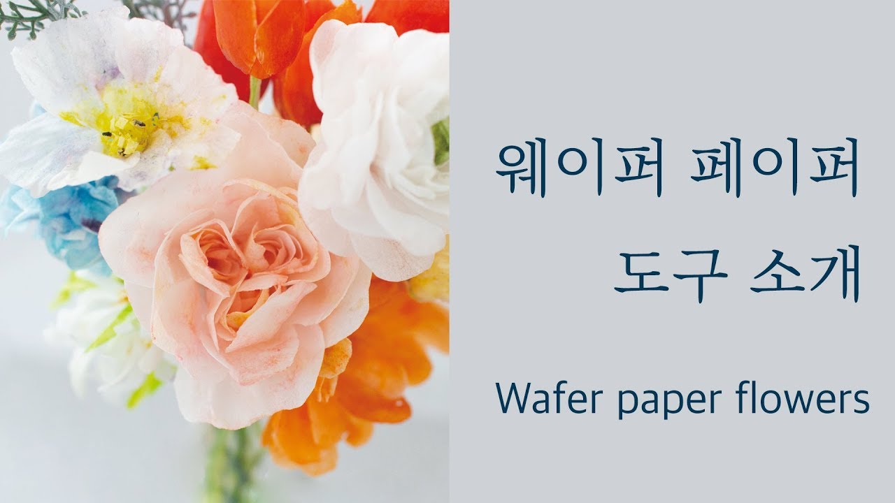 Eng sub 웨이퍼 페이퍼 플라워 도구 준비물 Wafer paper flower YouTube
