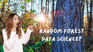 Random Forest Explained: How It Works in Data Science (4 Minutes)