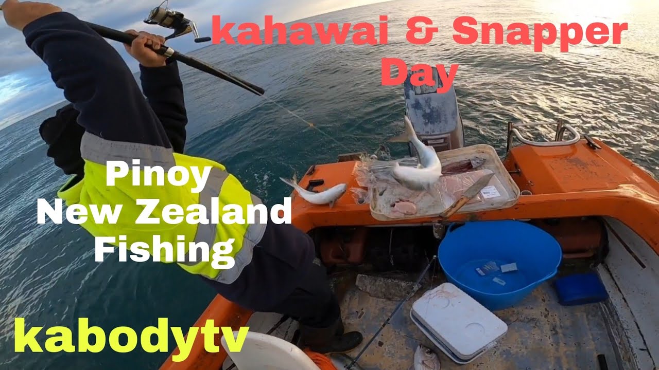 Boat Fishing Season 3 EP 3 | @kabodytv | Maketu Tauranga New Zealand -  YouTube