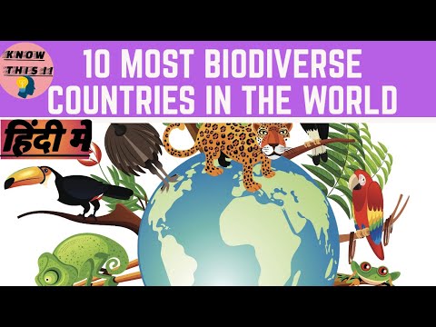 Top Ten Most Biodiverse Countries In The World | Megadiverse Countries Ranked | You Should Know This