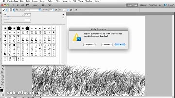 Using brushes in Photoshop CS5