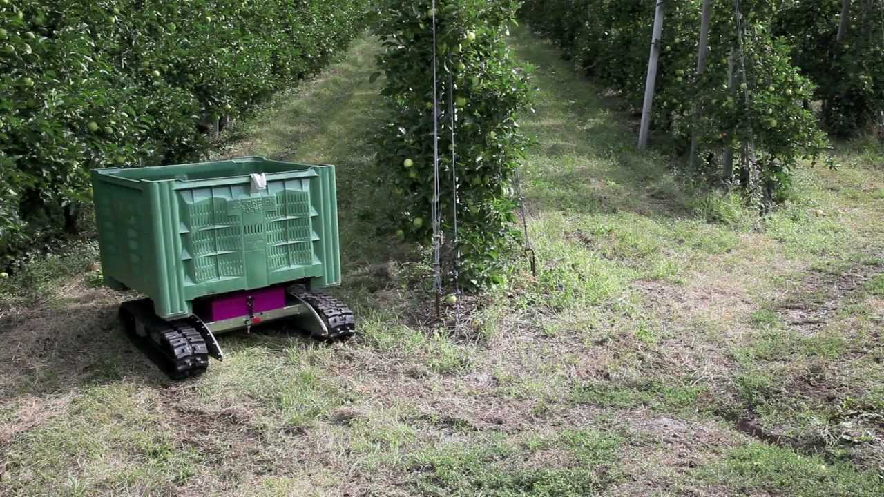 Windegger neo Erntemaschine - Reihenwechsel
