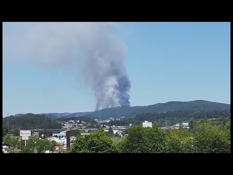 Incêndio lavra mata em Joane