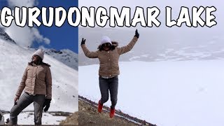 Gurudongmar Lake // North Sikkim Lachen to Lachung tour plan in April