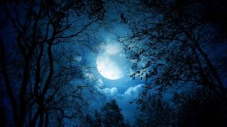 Moon / Akira Kosemura