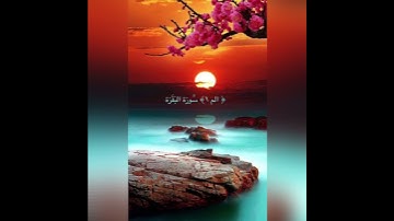 #خلفيات #دينية سورة البقرة آية 1