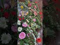 Romance (with Violin &amp; Cello) · Yuhki Kuramoto