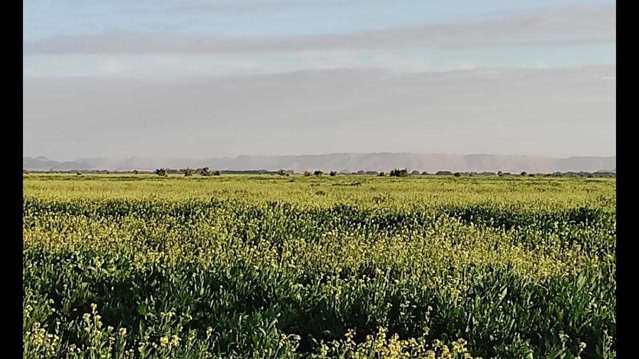 شاهد ... خيرات مولانا بمنطقة المعيدر جنوب شرق المغرب