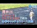 潤井川(うるいがわ) / ジグニンフとウェットフライで釣る冬季キャッチ＆リリース区間 / Tiemco Fly Fishing JP / ティムコ フライフィッシング