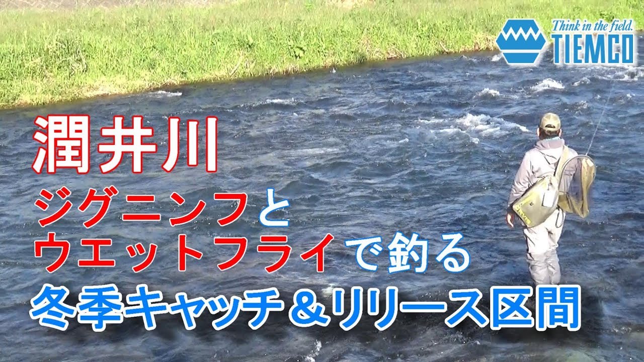 潤井川 うるいがわ ジグニンフとウェットフライで釣る冬季キャッチ リリース区間 Tiemco Fly Fishing Jp ティムコ フライフィッシング Youtube