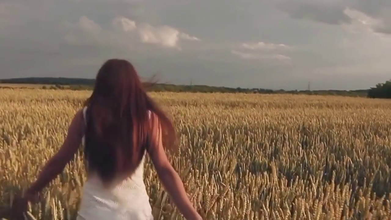 Песня мужчина поет в припеве. Девушка поет в поле. Девушка в пшенице. Поют в поле. Девушка в поле футаж.