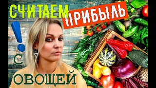 Сколько мы заработали на овощах за сезон?! Секретные материалы.