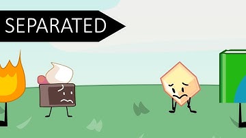 BFB Viewer Voting #1