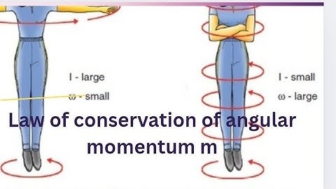 Law of conservation of angular momentum with examples/11/physics/physics studio