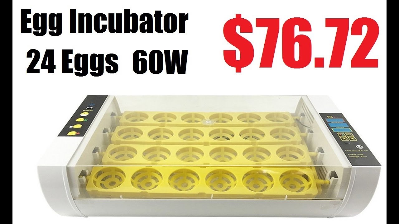 Fully Automatic Eggs Incubator 24 Eggs Best Incubator Review 2020 - YouTube