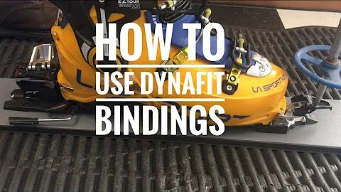 How to use dynafit bindings
