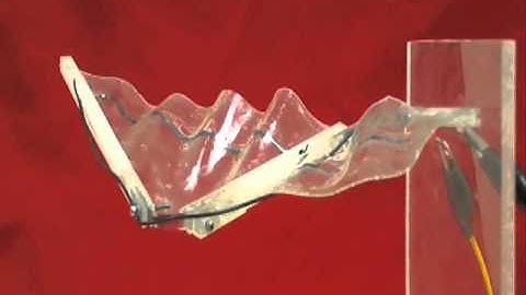 SMA morphing wing 01