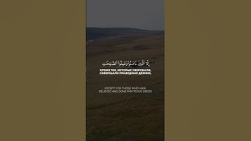 حالات واتس اب قرآن كريم ⚘️🧡سورة العصر تلاوة هادئة⚘️⚘️
