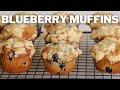 Blueberry Muffins Recipe