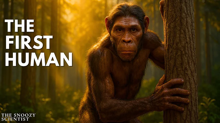 The First Humans After The Human Chimp Split