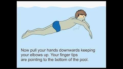 Kỹ thuật bơi ếch bằng tiếng Anh.
