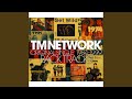 The Point Of Lovers Night Instrumental The Point Of Lovers Night Instrumental