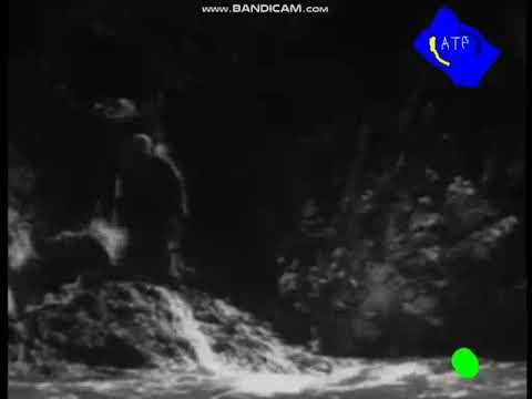 Фрагмент ефіру АТР 2006 