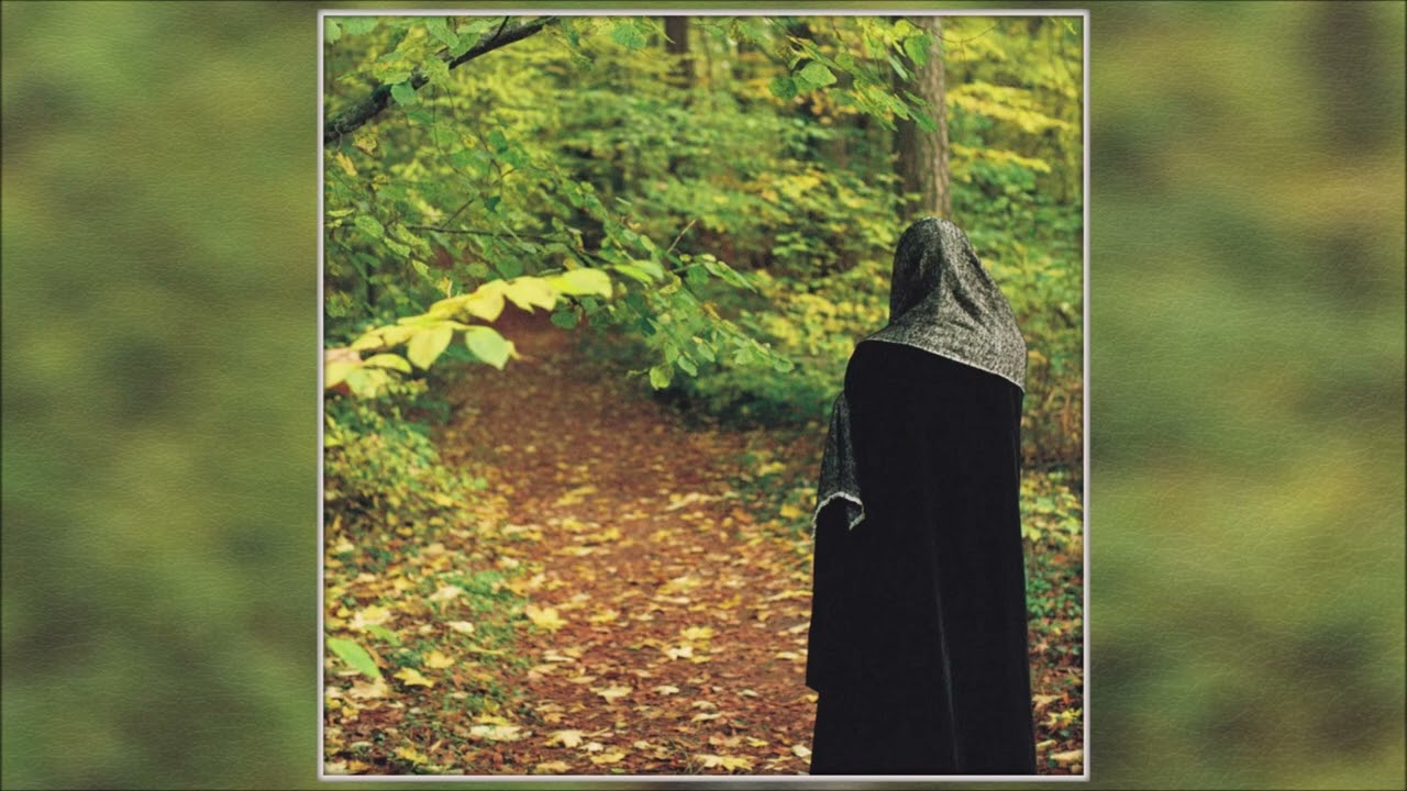 Andy Aquarius - Draumkvedet