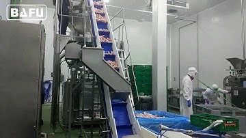 Vertical Packaging Machine,Vertical Form Fill & Seal Packaging Machine,Multihead Weigher