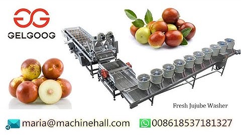 Commercial Fruit Jujube Washing Drying Machine Line