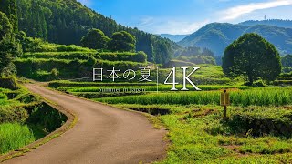 [My Summer Vacation] 12 Nostalgic Japanese Summer Scenes  JAPAN in 4K
