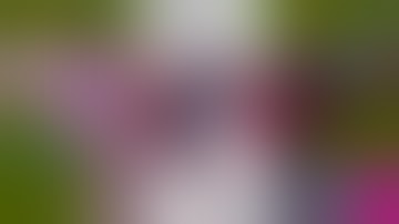 scan round 820 vs my scan videos and j cooley