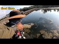 Unbelievable shot amazing slingshot fish hunting