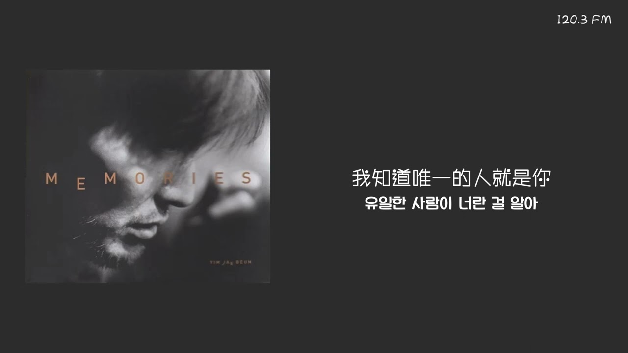 在 YouTube 上观看 韓中字🎼 任宰範 임재범 - 為了你 너를 위해 (2000年)