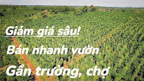 Tiếp tục giảm giá! bán vườn gần QL14A, trường học, chợ, gần 1 ha trồng kín hồ tiêu, 64m đường