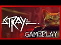 Stray Gameplay Comentado. Una Aventura Felina. Primeros minutos de juego [PC, PS5, PS4]  Parte 1/4.