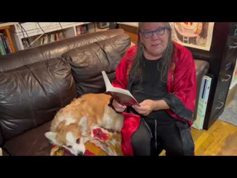 Video of Bloodstream Poem by Peter Dellolio