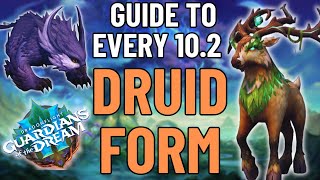 Every New Druid Form in Patch 10.2 And How to Get Them | World of Warcraft | Dragonflight