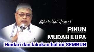 876 PIKUN MUDAH LUPA Hindari dan lakukan ini sembuh