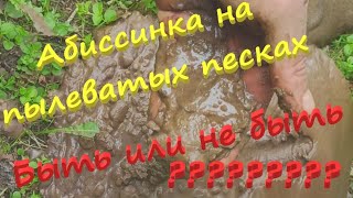 видео: Возможна ли абиссинская скважина на пылеватых песках? картинка: Возможна ли абиссинская скважина на пылеватых песках?