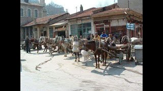 Atları Hızlı Sür Köye Geç Varmasını Kütahya At🐴 🐎Arabalari İz 0535 942 02 61