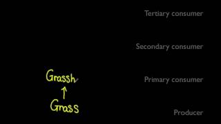 5.1.6 Define trophic level 5.1.6 Define trophic level
