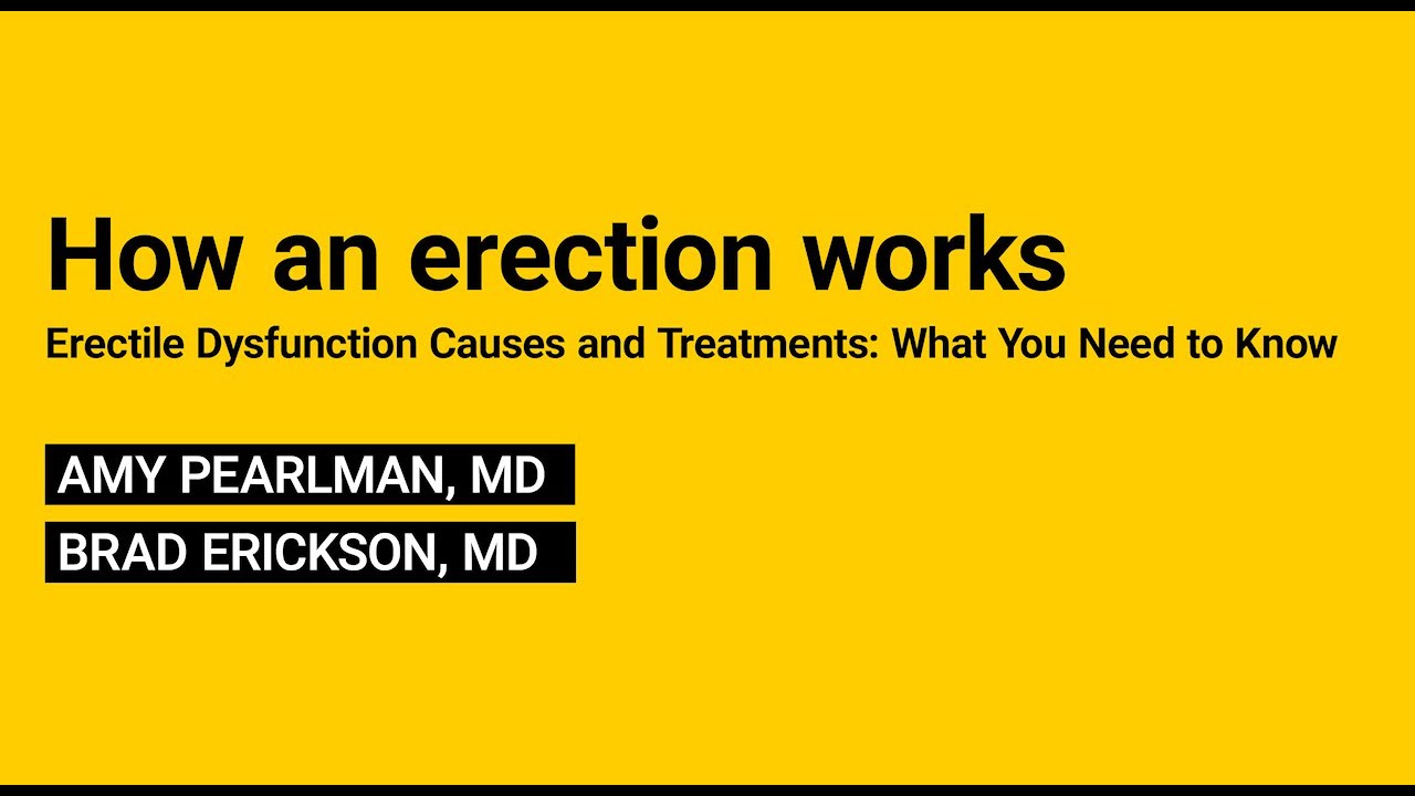 2. How an erection works - YouTube