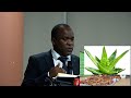 SERIKALI YATOA ANGALIZO MATUMIZI YA DAWA IKIZIDISHWA NI SUMU DAWA ZA ASILI ZATAJWA PIA 