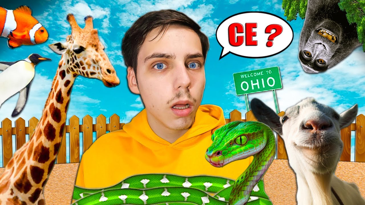 TU CE ANIMAL ESTI ?