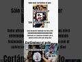 sólo las puntas