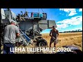 Цена пшенице для одноосибныков. Уборка пшеницы 2020! Нива СК-5 - нервоядная Хищница