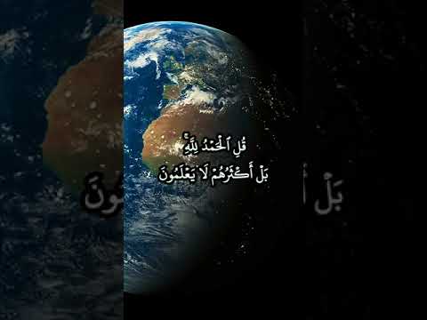 المنشاوي قل الحمد لله بل أكثرهم لا يعلمون لله ما في السماوات والأرض إن الله هو الغني الحميد لقمان