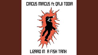 Video thumbnail of "Circus Mircus - Lizard In A Fish Tank (feat. Qaji Todia)"