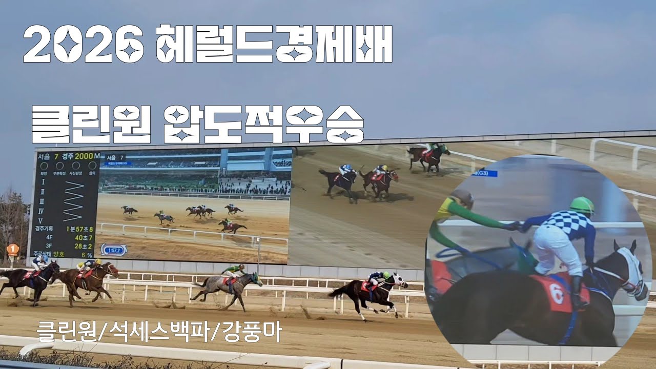 서울경마장 간만에 함성과 탄식이 울려 퍼졌다!(예시장/경주로입장/시상식)